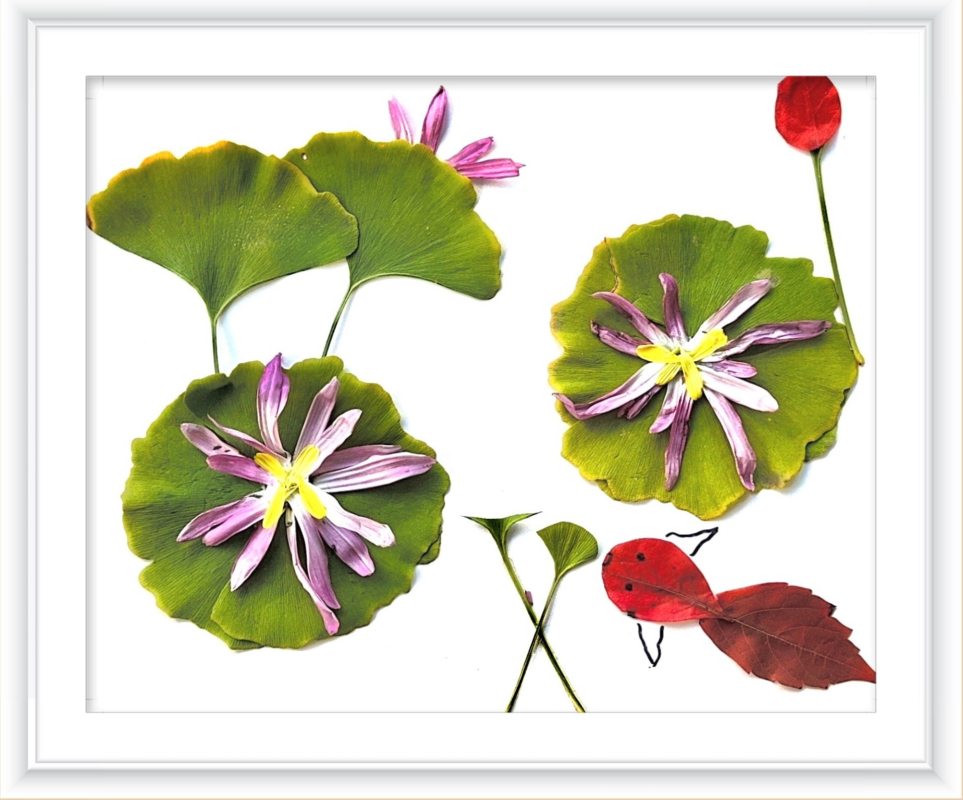《一路清莲》作者：张颖蕊_副本.jpg